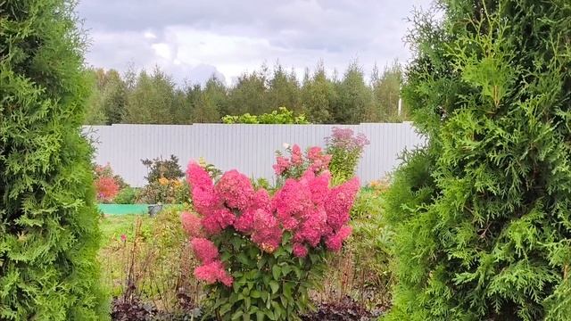 Установка окон,дверей в Новом Деревенском Доме 😁💥За два года из пустыря Я выстроила Одна15-09-2026