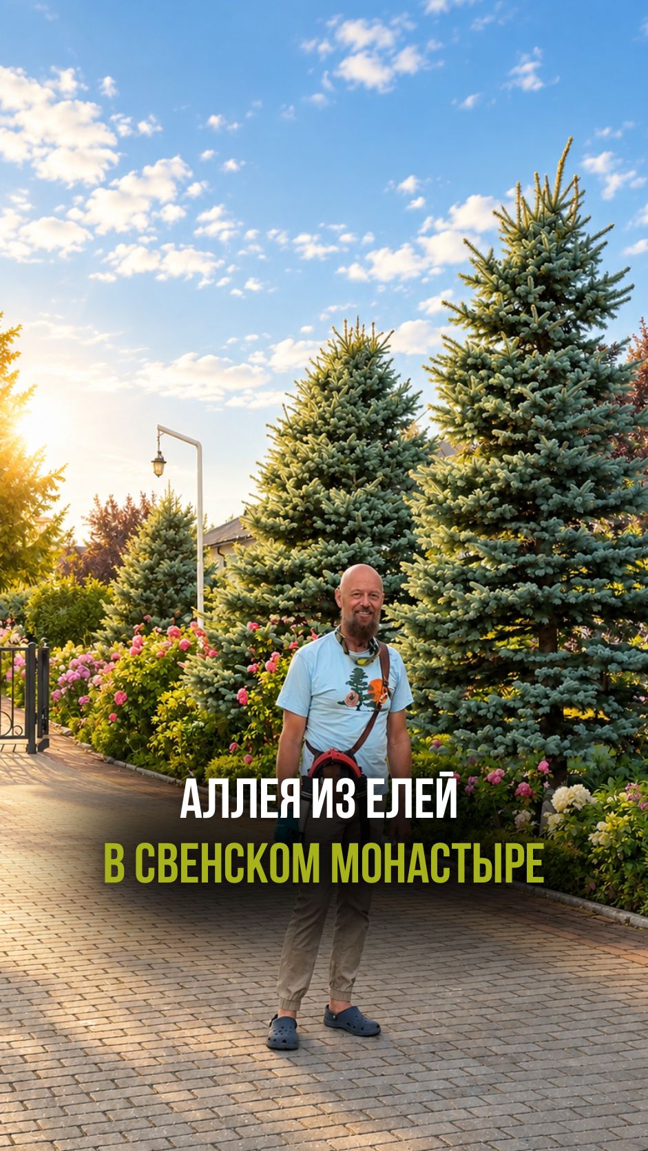 Аллея из елей в Свенском монастыре в Брянской области