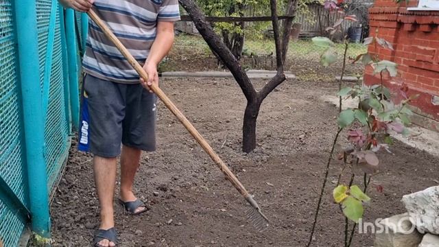 Николай убирает на участке ,а я готовлю яблоки для сушки.Посиделки.