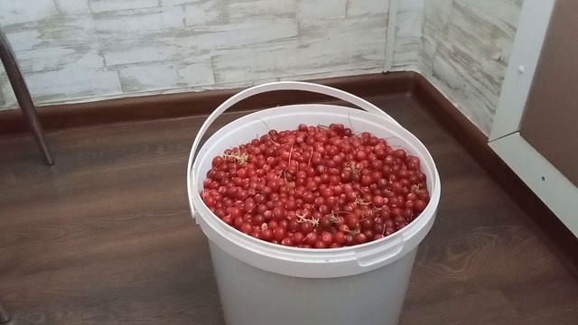 VID20260916140932[1]