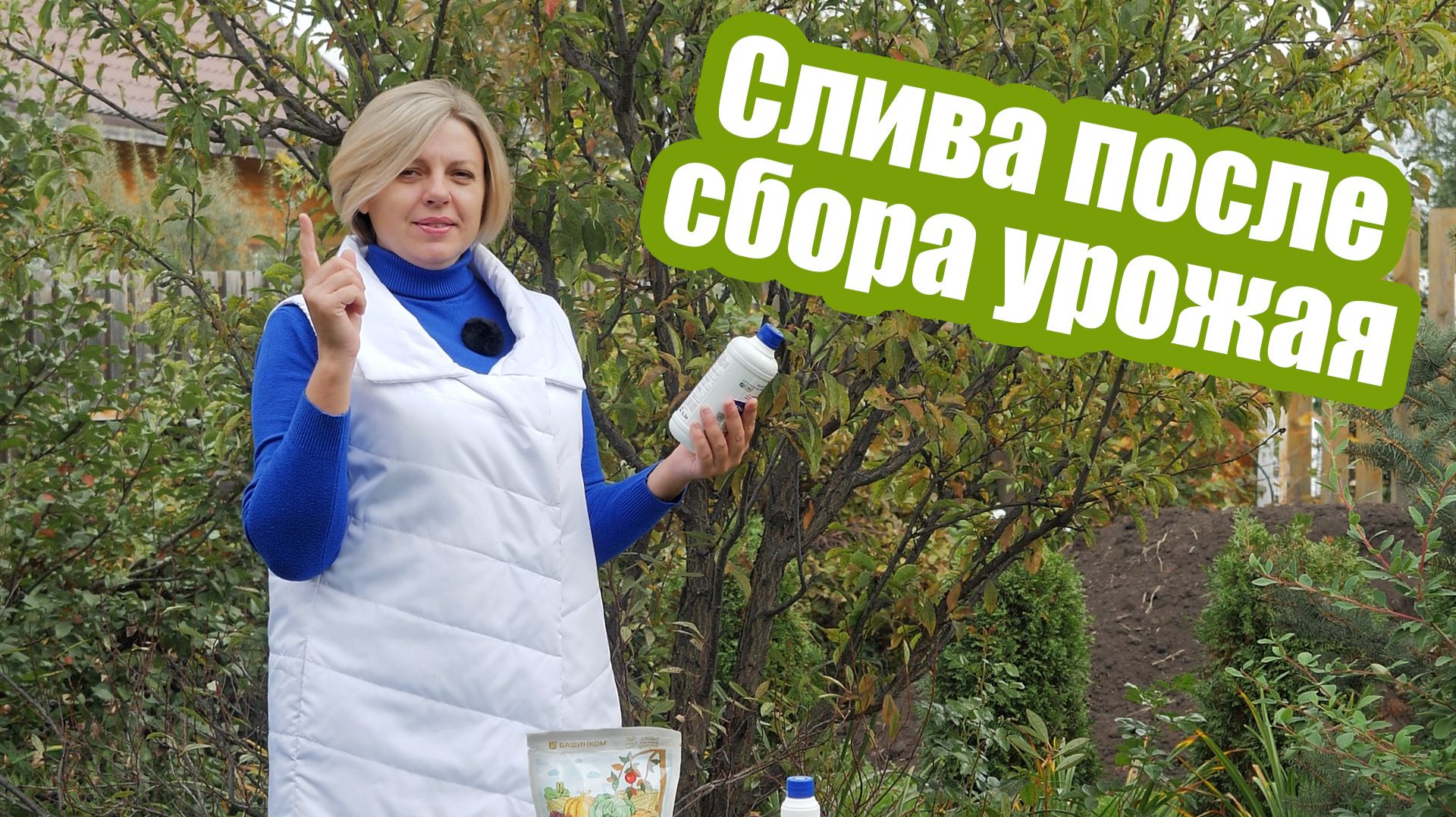 Подкормите и обработайте СЛИВУ ОСЕНЬЮ