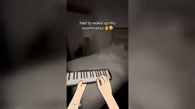 Мои домочадцы в 5 часов утра...