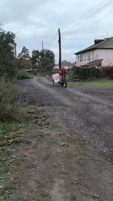 Двигаемся на мурмулях