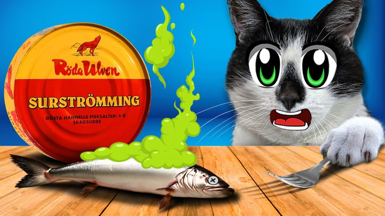 КОТЫ пробуют СЮРСТРЁММИНГ! МОРСКАЯ УЛИЧНАЯ ЕДА ЧЕЛЛЕНДЖ! КАКУЮ ЕДУ ВЫБЕРЕТ КОТ МАЛЫШ?