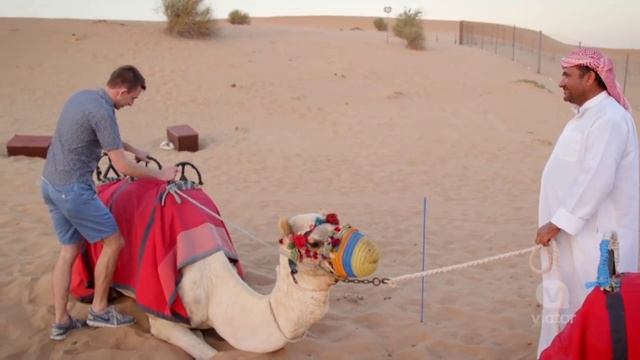 Dubai Safari