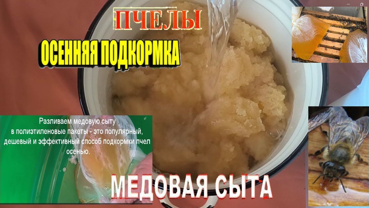Приготовление медовой сыты -осенняя подкормка пчёл. #пчелы#пчеловодство#буднипчеловода