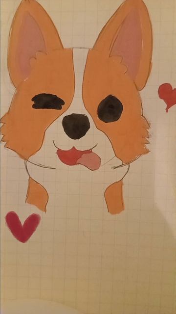 корги