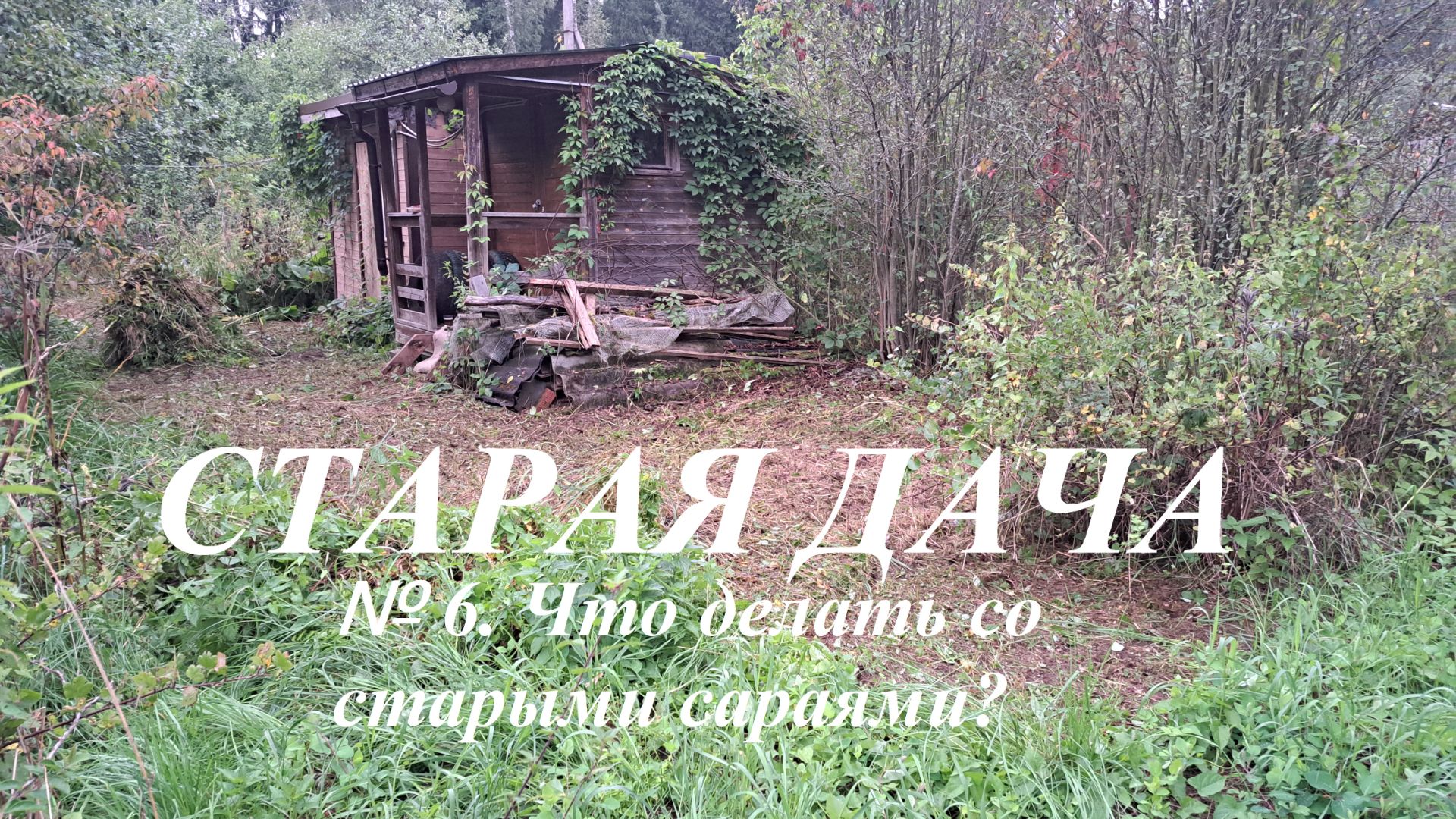 Старая дача. № 6 Что делать со старыми сараями?