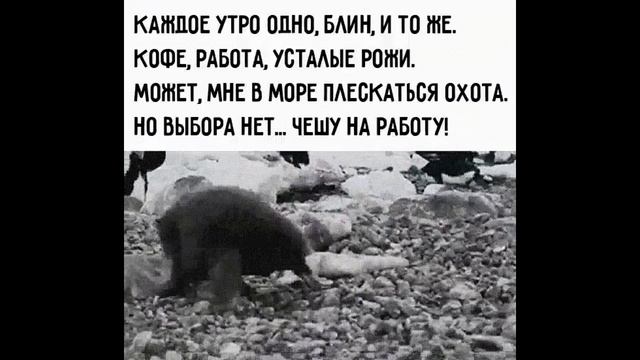 Чешу на работу ;)