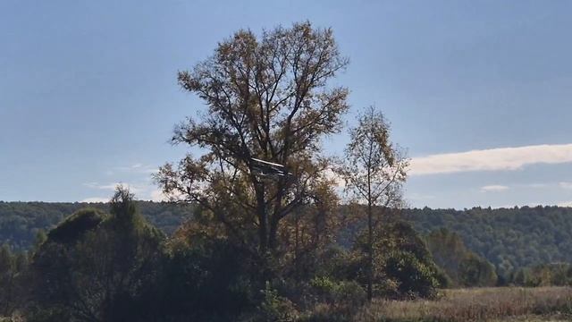 осень, небо,водоем...