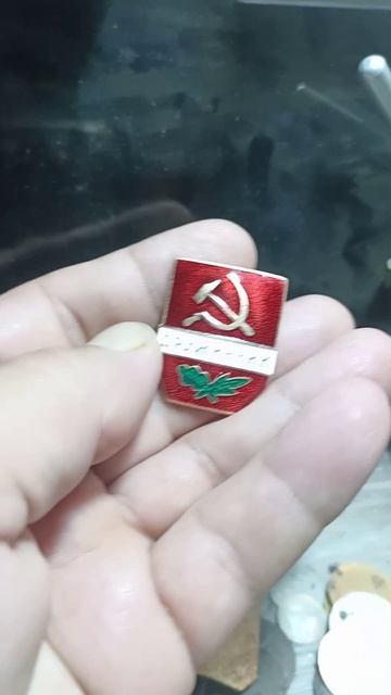 Ремонт Дружинника