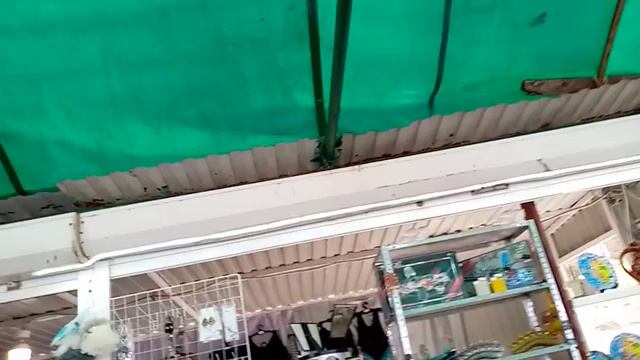 VID_20260916_102710.mp4