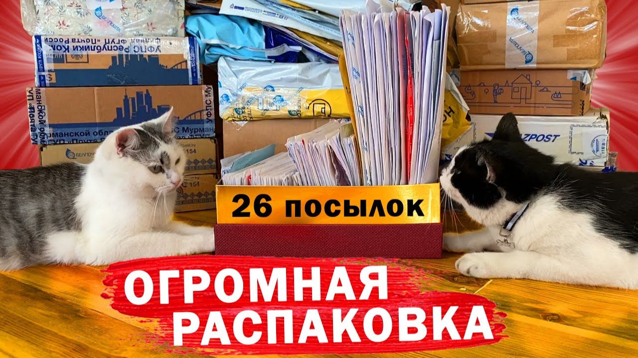 26 ПОСЫЛОК от ПОДПИСЧИКОВ! ЧТО в КОРОБКАХ? ОГРОМНАЯ РАСПАКОВКА