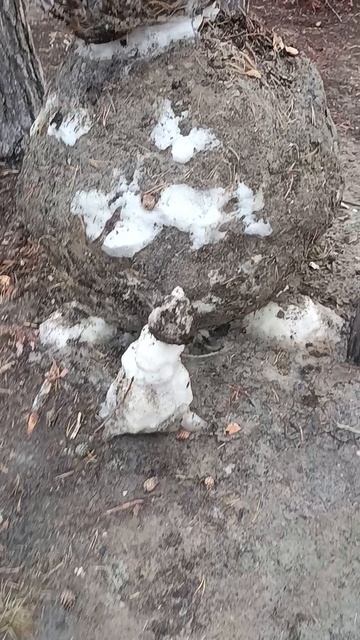 гигант снегровик.