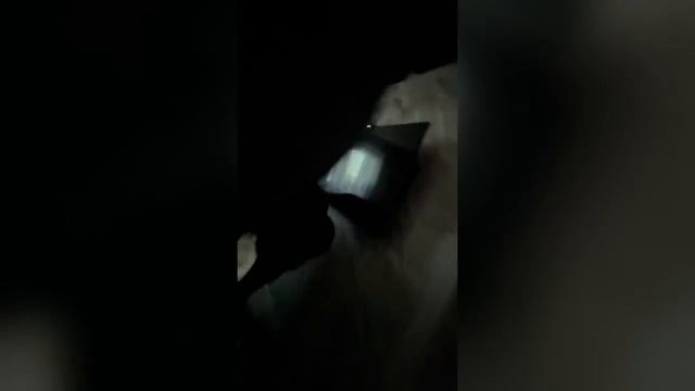 В Оренбургской области при силовой поддержке Росгвардии пресечена преступная деятельность гражданина