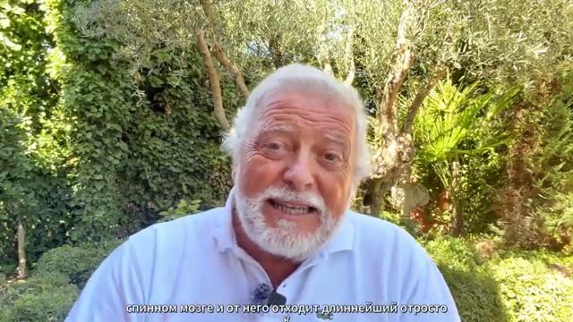 📹 СИЛА ВАШЕЙ РУКИ ПРЕДСКАЗЫВАЕТ ВАШУ СМЕРТЬ. Лучше, чем ваше давление →
👤 #Jose_M_Castillejo_ →