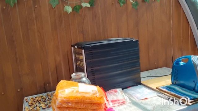 А мы с Леной делаем заготовки моркови.А я еще и начинку для пирожков!