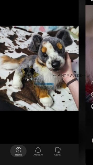 //Positive DOG\\ АОА СПАСИБО СПАСИБО СПАСИБО СПАСИБО СПАСИБО +100000 СПАСИБО ЗА 201 😍😍😍😍❤❤❤❤❤❤