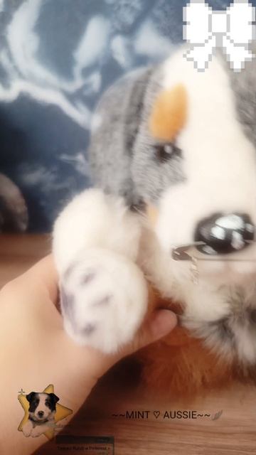 //Positive DOG\\ ХЗ ВРОДЕ ТРЕНД 😅