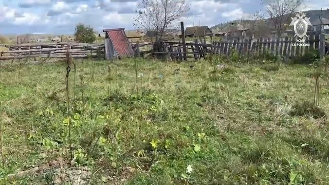 Медведь растерзал 66-летнюю женщину