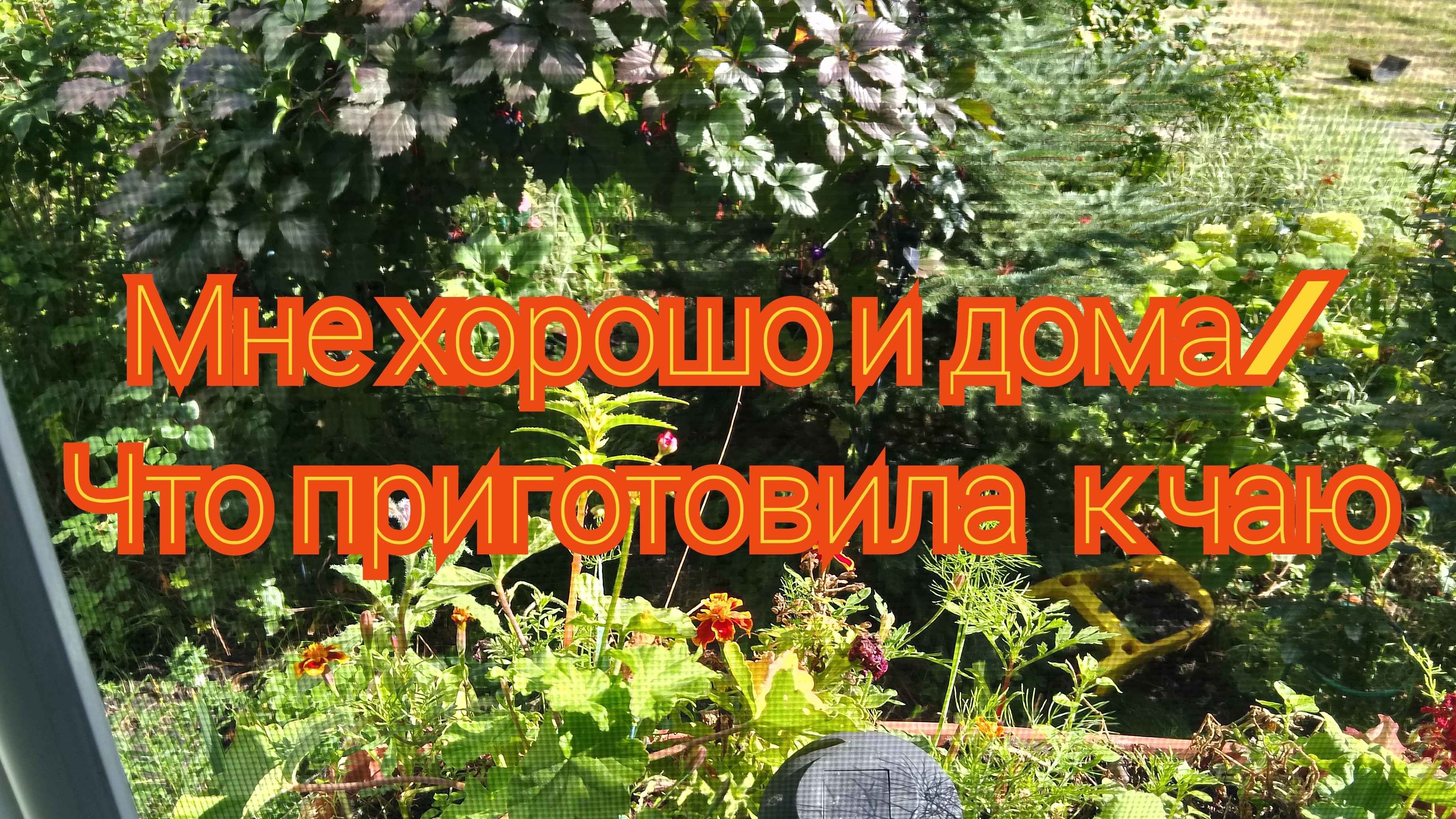 Мне хорошо и дома/ Что приготовила к чаю