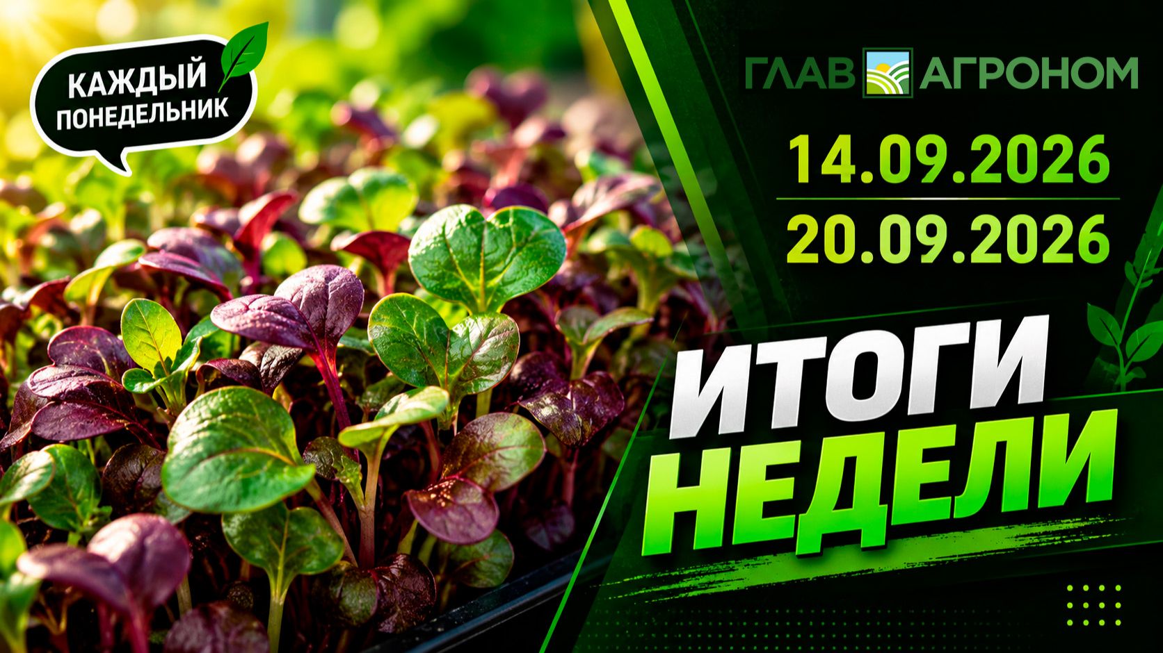 Итоги недели с ГлавАгроном 14.09.2026 – 20.09.2026