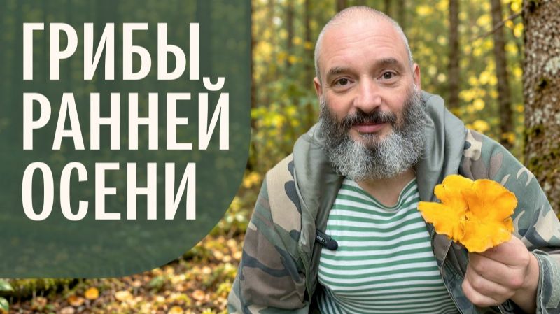 Грибы ранней осени. Михаил Вишневский