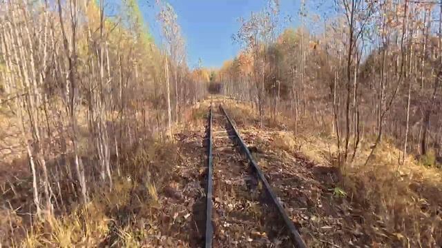 На своих дрезинах по действующей узкоколейке. Кобринская УЖД - Курбель и Курвиметр