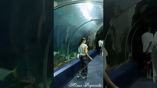 Несколько дней у моря )
