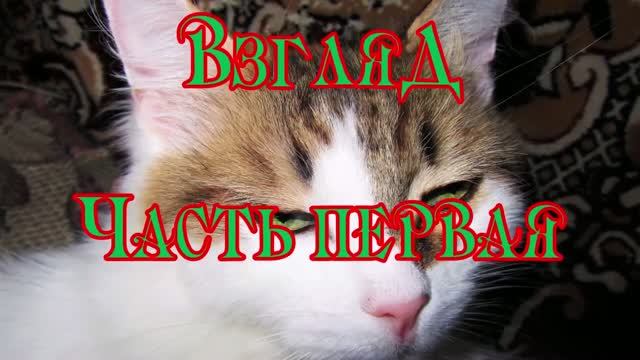 ВЗГЛЯД. Часть первая
