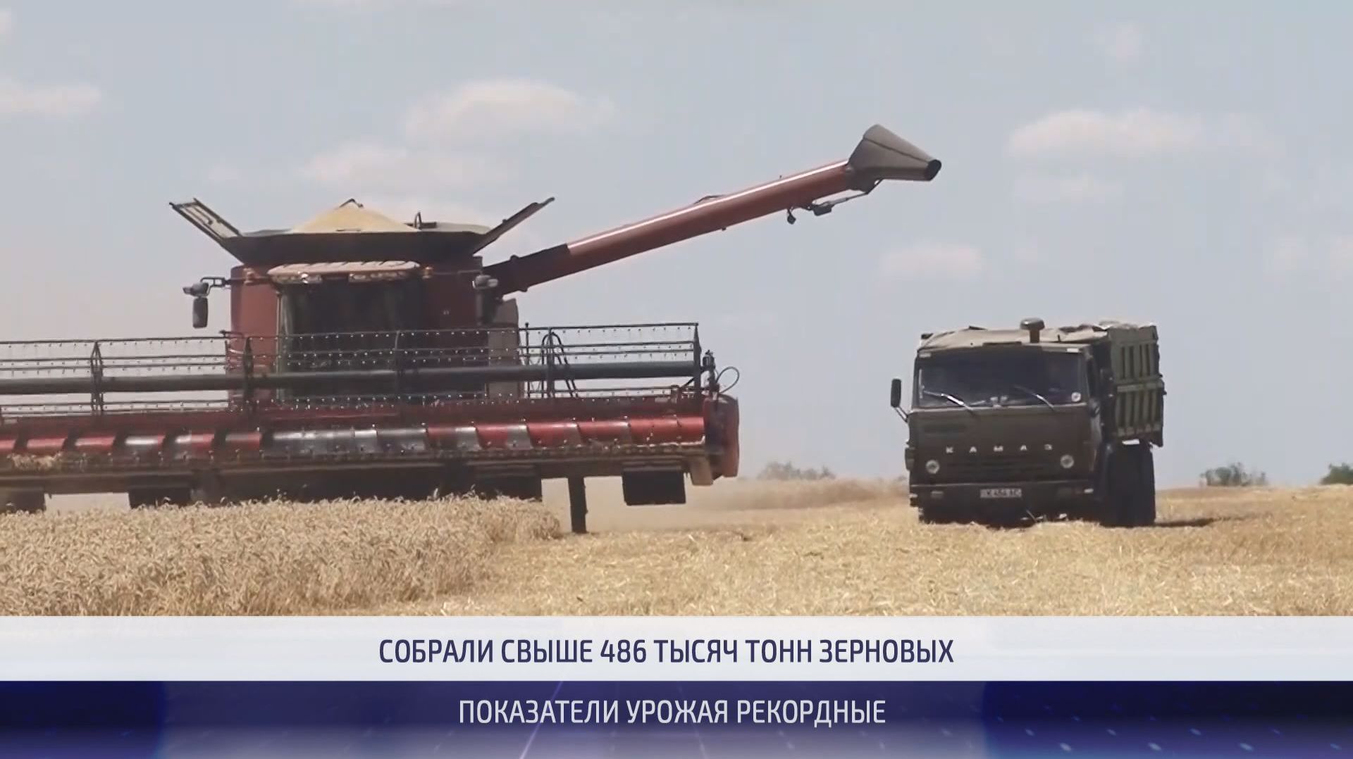 Продуктовая самодостаточность: рекордный урожай-2026 – 17.09.2026