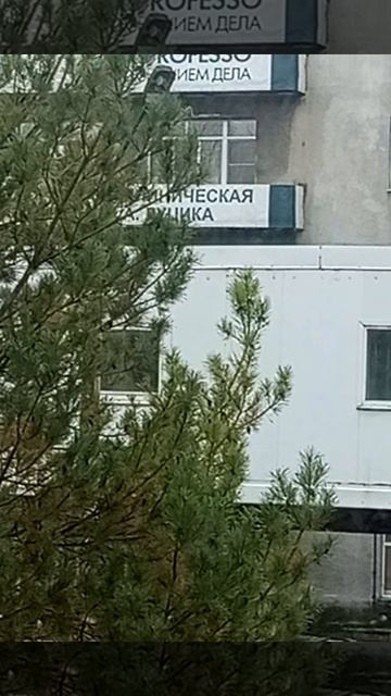 Новокузнецк,больница 29.Нажми!