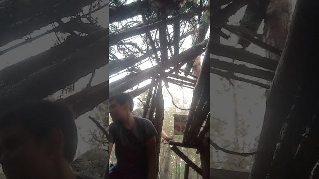 база в лесу 1 часть