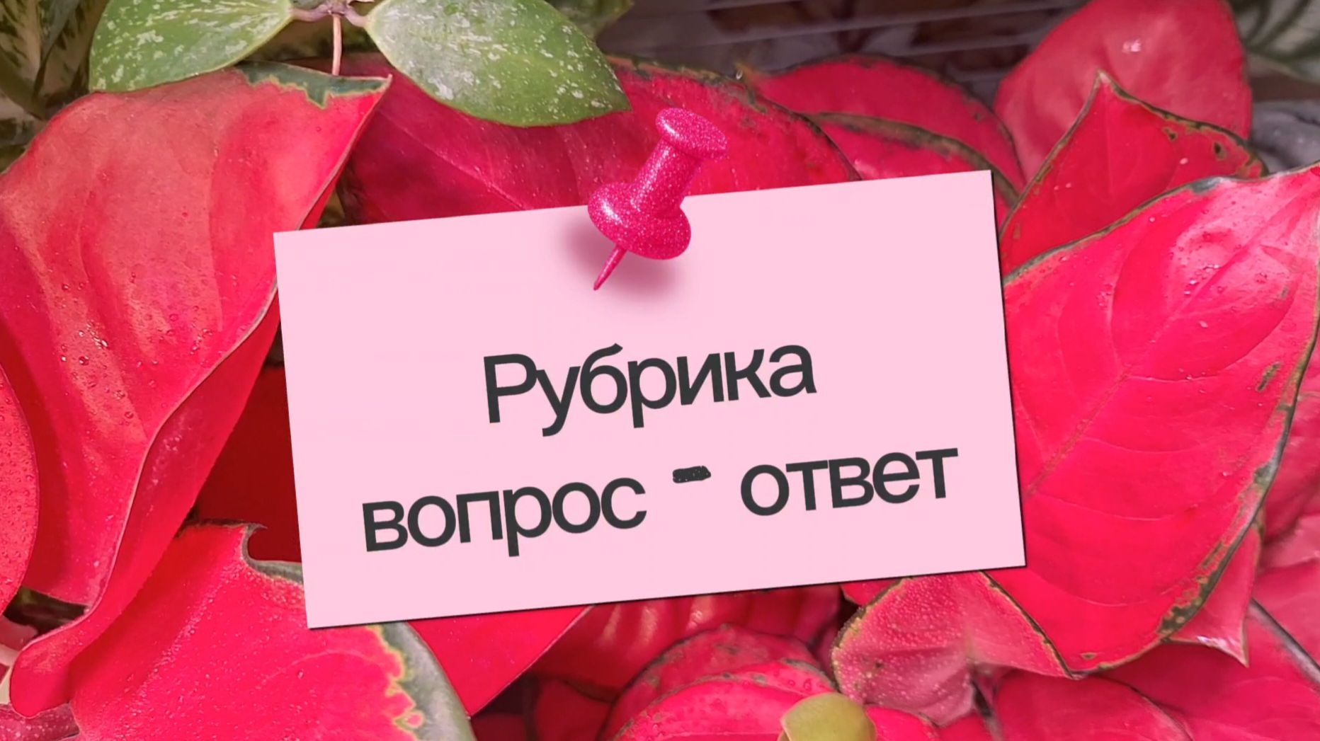 Рубрика Вопрос- Ответ: отвечаю на вопросы, которые вы задавали в комментариях
