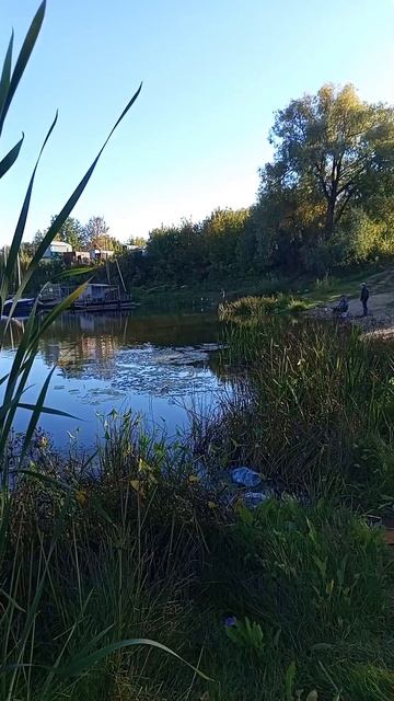Точка Лова. Ловлю в затоне.