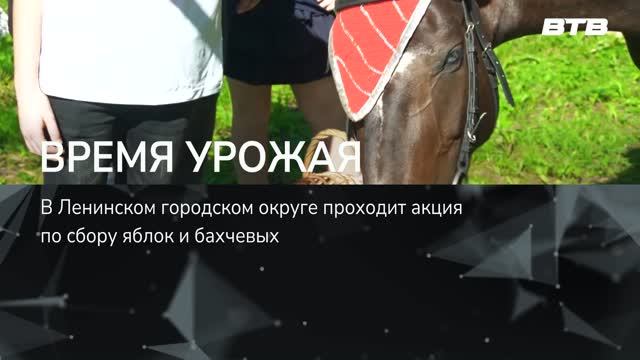ВРЕМЯ УРОЖАЯ