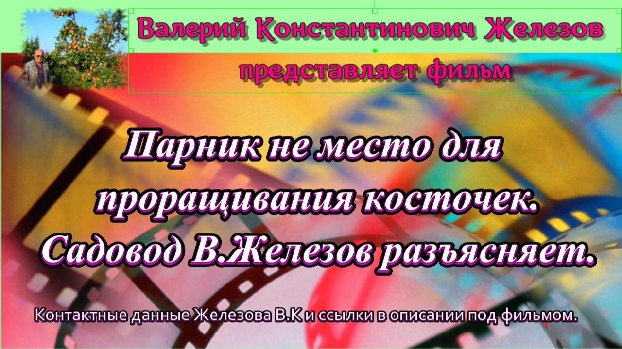 Парник не место для проращивания косточек. Садовод В.Железов разъясняет.