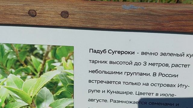 о.Итуруп. Курильск. Кипящая речка. Эко тропа (18.09.2026)