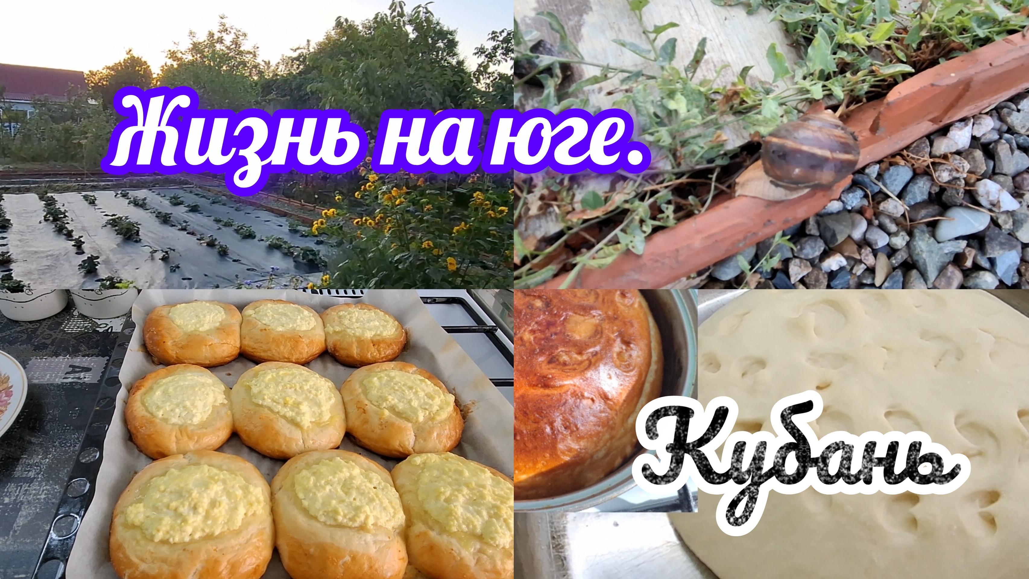 18-09-2026/ Живём и работаем на Кубани/ Ватрушки/ Осеннее удобрение/ Огурцы радуют/ Переезд на юг/