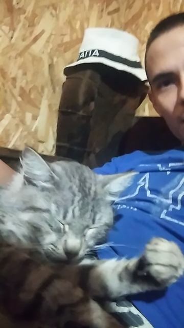 Доброе утро! Кот!