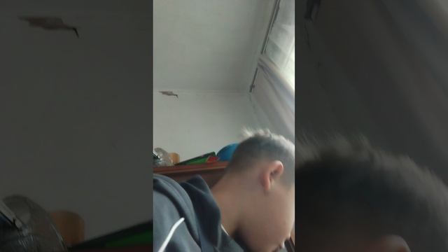 обзор на моё оружие
