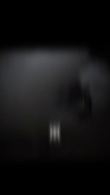 1000007965.mp4