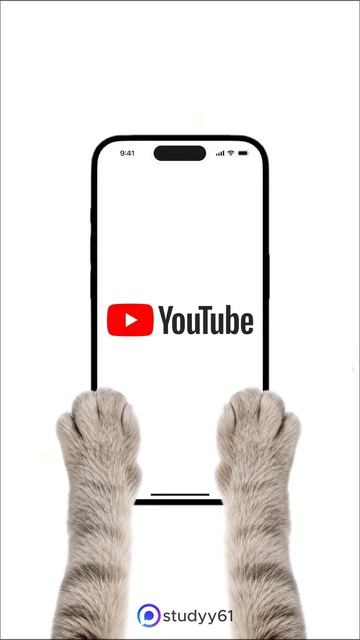 Котята посняют