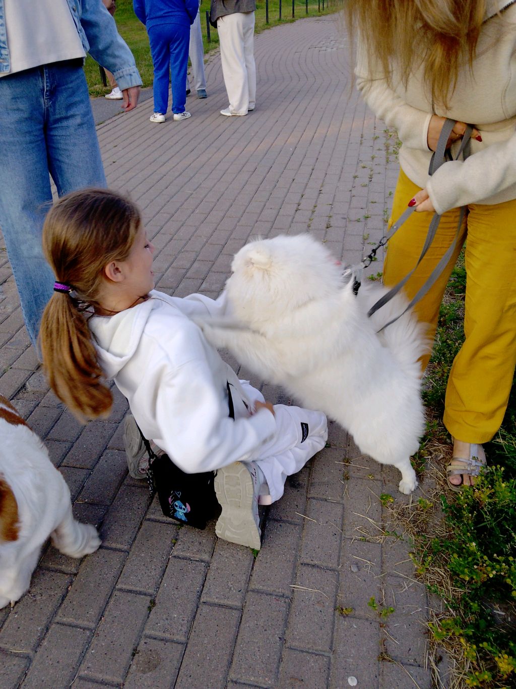 Уля