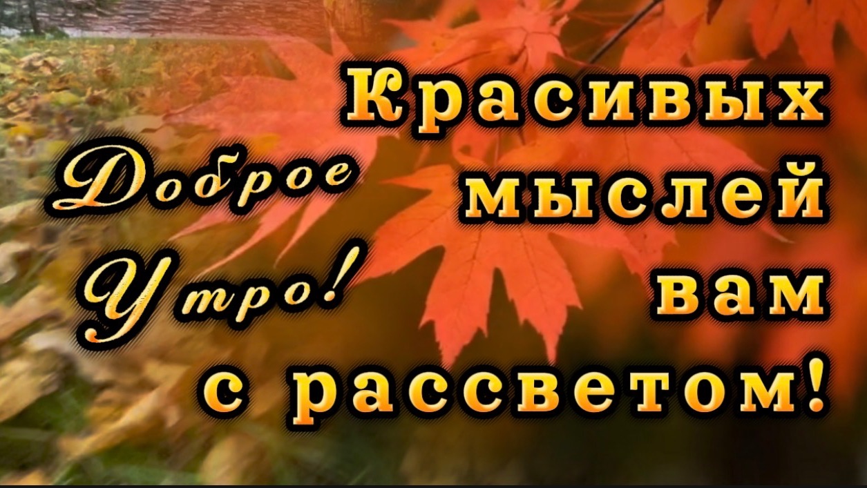 Доброе осеннее утро! Песня с добрым утром