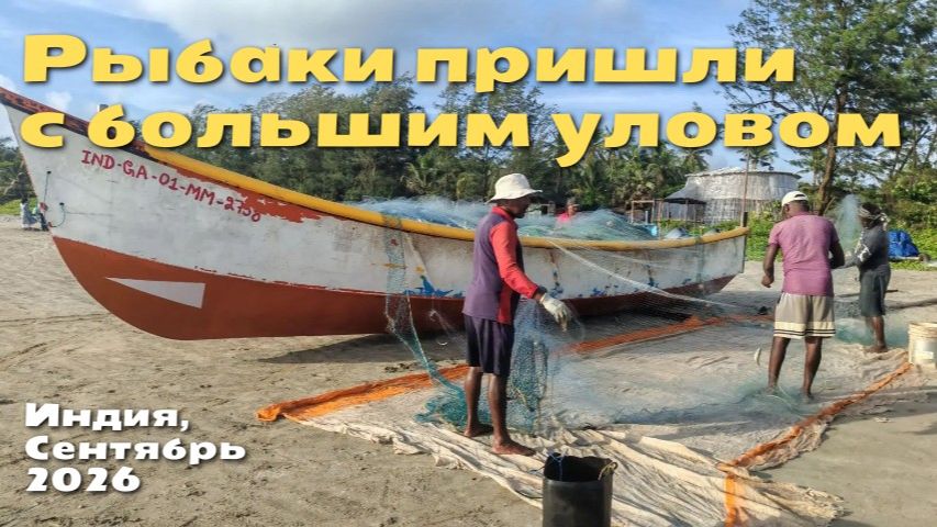 Рыбаки пришли с большим уловом Морджим ГОА Индия