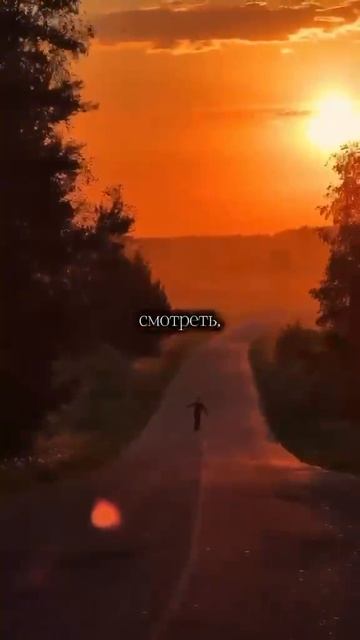 Давайте просто жить...