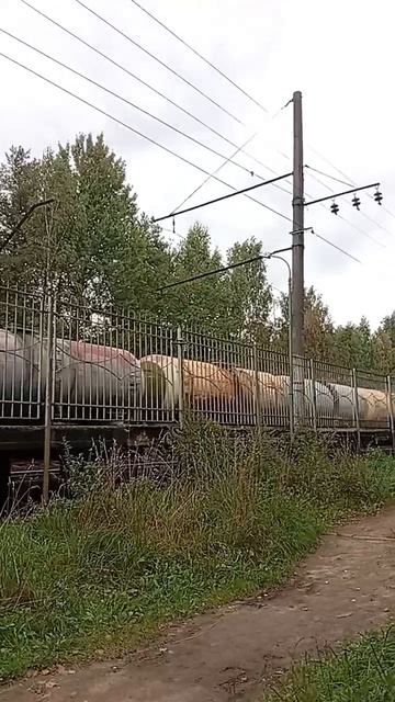 26454.mp4