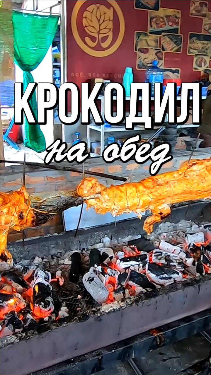 Крокодил на обед