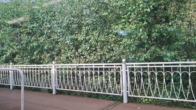 Санкт-Петербург. Как  быстро доехать до Финского залива. Полчаса от Удельной до Репино на электричке